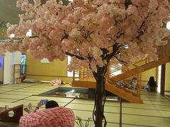 -汤泉良子(金源店)