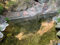 -云岫谷游猎自然风景区