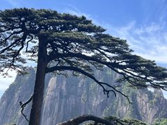 -黄山风景区