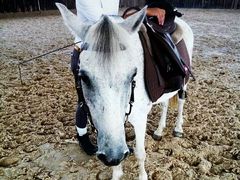 -松声马术俱乐部