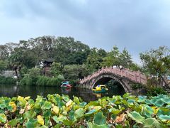 -桂湖森林公园