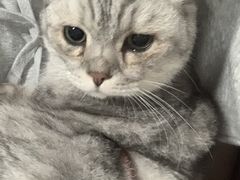 -美美宠物诊疗中心·异宠·骨科(滨江东信分院)