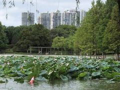-白塘生态植物园