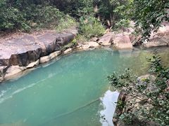 -广州白江湖森林公园