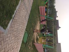 廊坊固安福朋喜来登酒店-廊坊固安福朋喜来登酒店