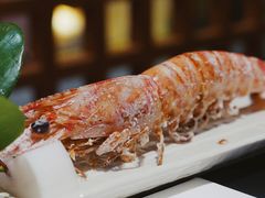 -将军日本餐厅·Shogun(厦门马哥孛罗东方大酒店)