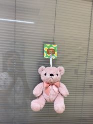 -杭州贝瑞斯美华妇儿医院·早孕·产检·儿科