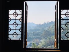 -十八棵（老龙井）御茶园(老龙井店)