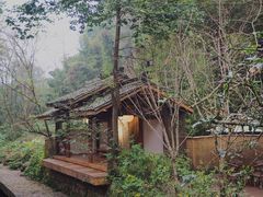 -乐领拈花溪·林涧食韵