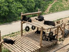 -大连森林动物园