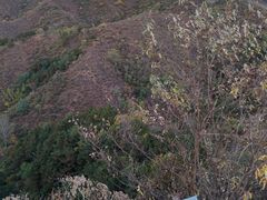 -蟠龙山长城景区