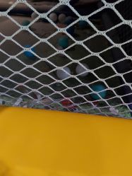 -Land Mark蓝马乐园(华联武夷购物中心店)