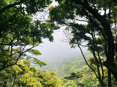 -梧桐山风景名胜区