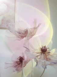 -美肤盾祛痘·问题肌头疗管理中心