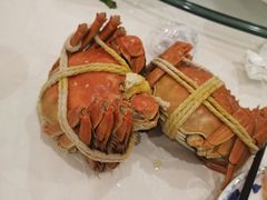-上海都市菜园