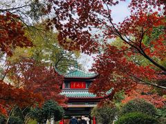 -岳麓山风景名胜区