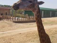 -鄂尔多斯野生动物园