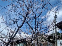 -北京水岸山吧度假村(雁栖镇店)