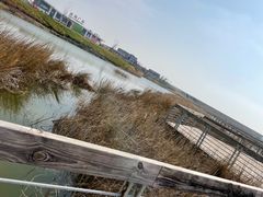 -启东黄金海滩景区