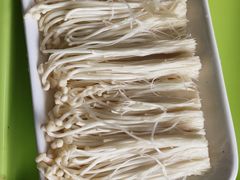 -15年老字号鑫鑫猪肚鸡·椰子鸡海南火锅(兴隆华侨农场店)