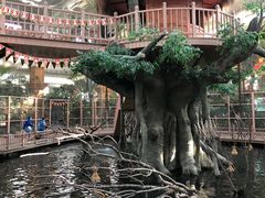 -南宫五洲植物乐园