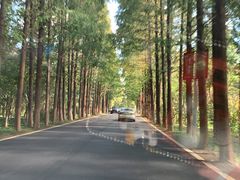 -龚家花园农家乐休闲别墅