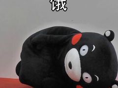 -OL’s Cake鲜荟千层(东风中路店)