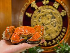 -王宝和酒家(黄浦店)