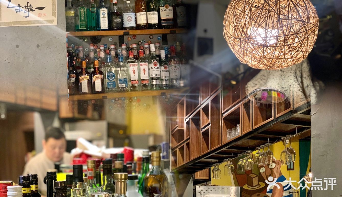 广州探店｜来一场森林风猫咖的约会吧