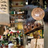 广州探店｜来一场森林风猫咖的约会吧