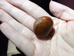 -秋栗香(地安门店)