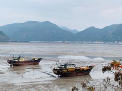 -北岐滩涂