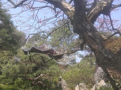 -西湖外事游船(花港观鱼码头)