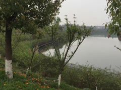 -白鹭湾湿地公园