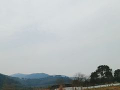 -径山花海