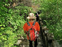 -云岫谷自然风景区