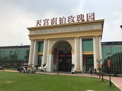 -天宫南铂玫瑰园酒店