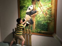 -成都泰迪熊博物馆