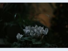 -行人小筑·茶馆(岑村火炉山分店)