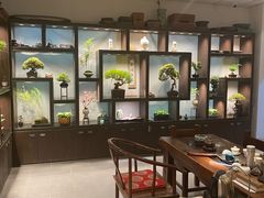 -双季花艺园艺市场(浦东店)