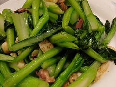 -朱记乳鸽王·非遗石岐乳鸽·全鸽宴(大兴旗舰店)