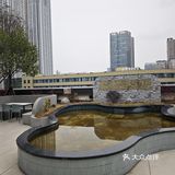 这家围炉煮茶的九宫格，份量也太足了？