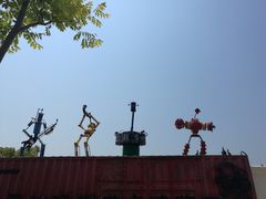 -上海长兴岛郊野公园