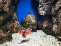 -福州罗源湾海洋世界旅游区