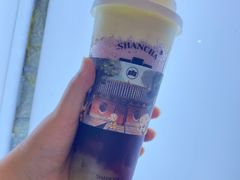 -雾与山茶(大禹城店)