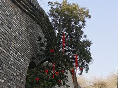 -朴园