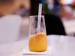 -飞行喵MR PILOT|猫舍·猫咖(静安大融城店)