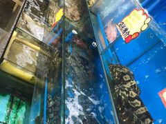 水产区-蚝专家(北滘店)