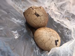 -金盆阿嬷香菇茶叶蛋(玄光店)