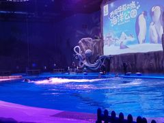 -华夏文旅海洋公园